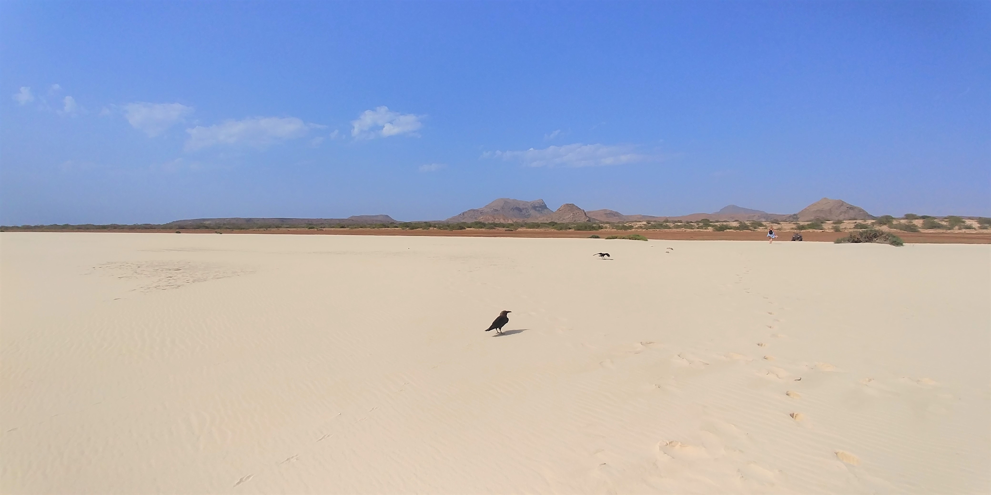 Cabo Raves The Raven’s route. Out of the common paths in Boa Vista, Cabo Verde